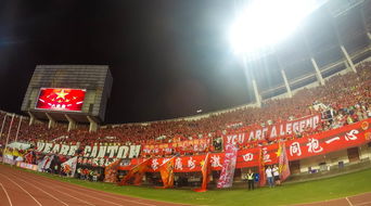 米兰平台-“运动舞蹈:金牛区城北体育馆让你看到的不仅仅是舞蹈,更是灵魂与身体的交响” 第4张 米兰平台-“运动舞蹈:金牛区城北体育馆让你看到的不仅仅是舞蹈,更是灵魂与身体的交响” 第4张