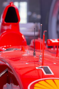 米兰体育app官网-全国青少年旱地冰球锦标赛在哈尔滨精彩展开，旱地冰球比赛时间  第1张