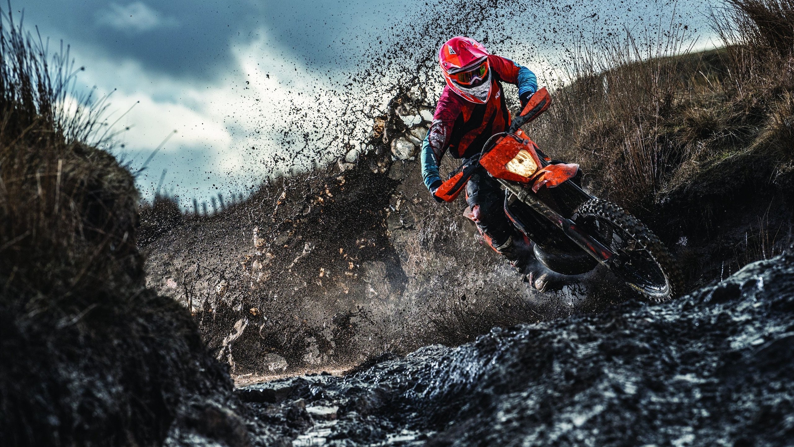 中国羽球双打组合2026年全新搭配 备战大赛战术更立体